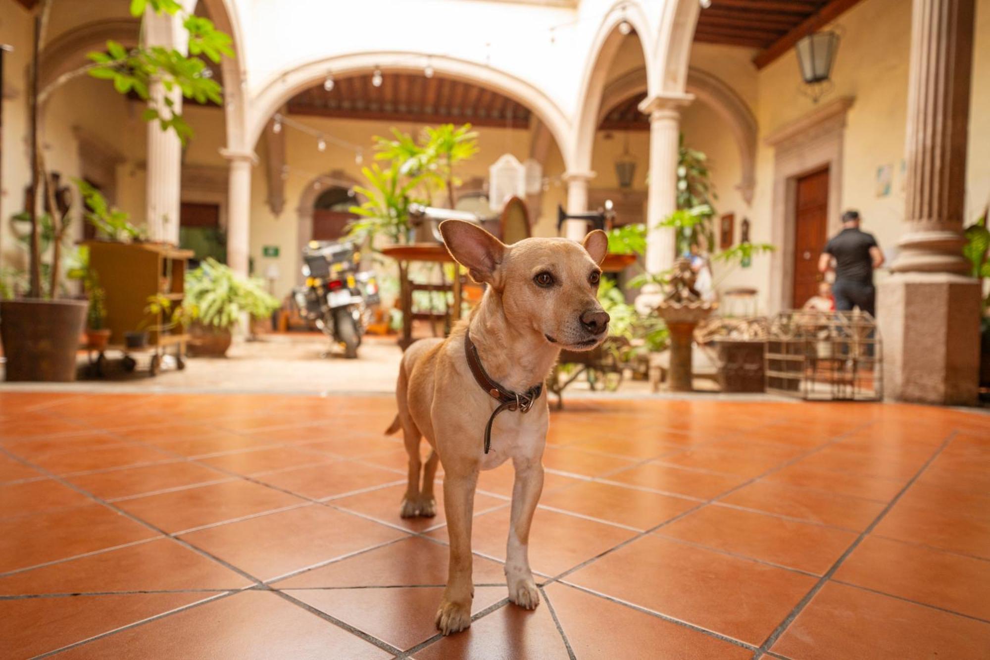 Hotel Posada San Agustin Durango Exterior foto